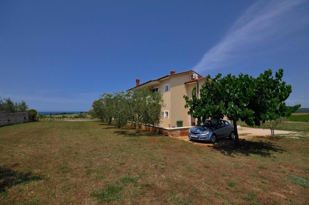 Angela Apartment Novigrad  ภายนอก รูปภาพ
